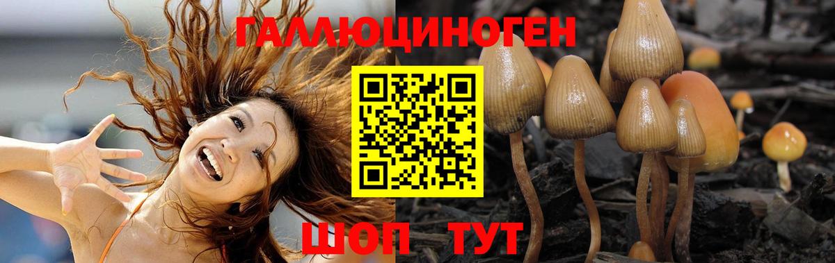 Коркино  Галлюциногенные грибы мухоморы  Вход с VPN 